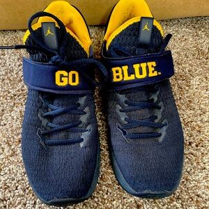 Jordan Trainer -Michigan Wolverines Men’s 9